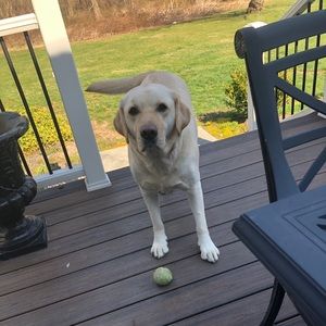 Meet your Posher, Bill